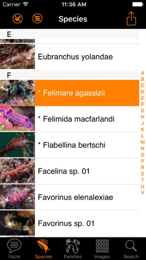 Nudibranch ID Eastern Pacific(圖3)-速報App