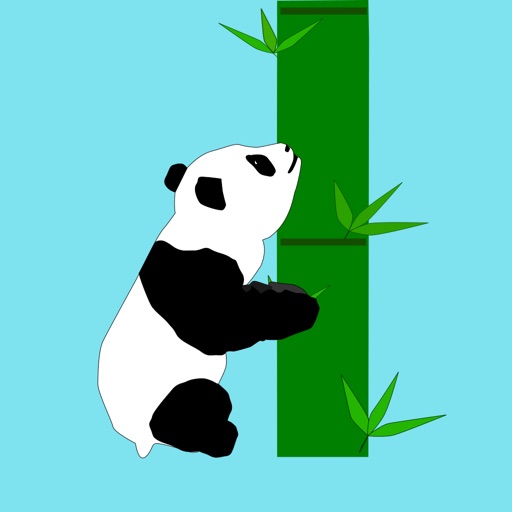 Panda Bridge Icon