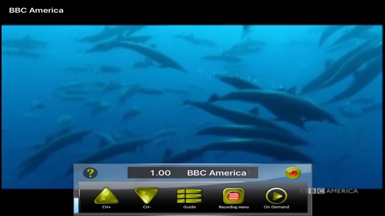 eVUE-TV™ screenshot-4