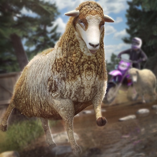 Sheep Simulator | Sheep Game For Little Kids