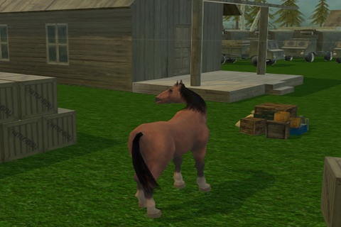 Wild Stray Horse Fury Simu-lator screenshot 3