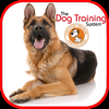 Dog Training for beginners - Diego Correa Bonini