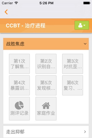 CCBT screenshot 2