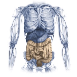 Gastrointestinal system Miniatlas