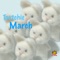 Tootchie March