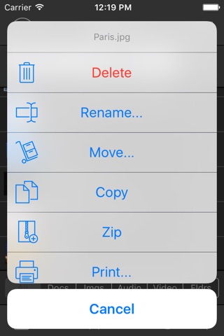 FileViewer USB for iPhone screenshot 2