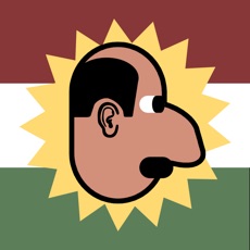 Activities of Flappy Kurd