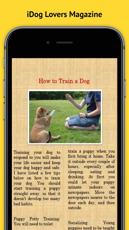 iDog Magazine - The Best new Dog, Puppy Training, advice and tips Magazine for Dog Owners