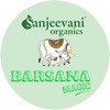 Barsana Magic Customer