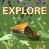 Explore Wild Essex