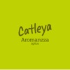 Catleya Aromanzza