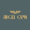 Angel Gyms