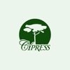 Cypress Insurance