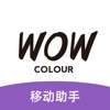 wowcolor移动助手