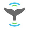 Whale Alert