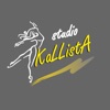 Kallista Studio