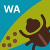 PestFacts WA