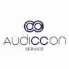 Audiccon Service