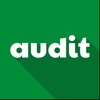 idenfit-audit