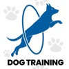 Dog Training & Pet Care Tricks