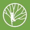 Bodytree Wellness Studio