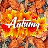 Autumn Cozy Wallpapers