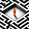 SCP:MAZE