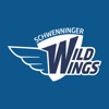 WILD WINGS