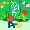 Saladin Pro - CTV Bảo hiểm