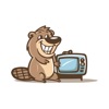 Beaver TV