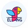 eLang: Aprende Idiomas