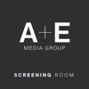 A+E Media Group Screening Room