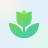 Plant App: Plant Identifier