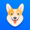 Corgi: Speak & Learn Languages