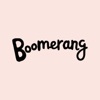 Boomerang Pet