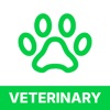 VTNE Veterinary Tech Test