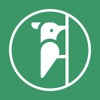 Health Woodpecker