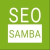 Social Scheduler by SeoSamba