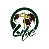 Life International Church