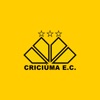 Criciúma Esporte Clube