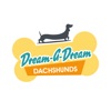 Dream A Dream Dachshunds