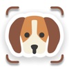 Dog Breed Identifier: AI