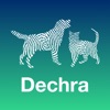 Dechra Dog and Cat Anaesthesia