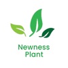 Newness Plant