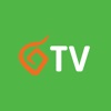 Slovanet TV