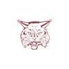 Brandywine Schools MI