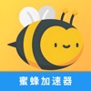 MiniBee VPN