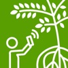 Mangrove CNP Surveyor