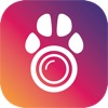 PetCam App - Dog Camera App