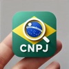 Consulta CNPJ 2025